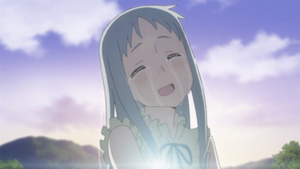 Тэр зун дэлбээлэх цэцэг